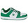 Cipők Férfi Rövid szárú edzőcipők DC Shoes MANTECA 4 SN Fehér / Zöld