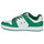 Cipők Férfi Rövid szárú edzőcipők DC Shoes MANTECA 4 SN Fehér / Zöld