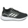 Cipők Női Futócipők adidas Performance EQ19 RUN W Fekete  / Fehér