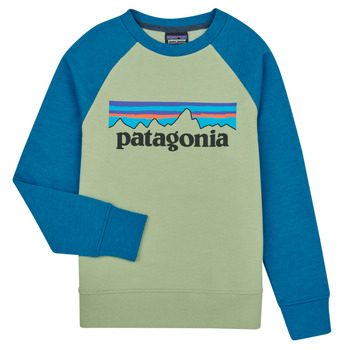 Ruhák Gyerek Pulóverek Patagonia K's LW Crew Sweatshirt Sokszínű