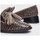Cipők Női Félcipők Wonders Odisei A2422T Taupe Bézs
