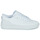 Cipők Rövid szárú edzőcipők Adidas Sportswear COURT REVIVAL Fehér