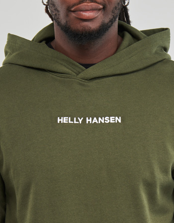 Helly Hansen CORE GRAPHIC SWEAT HOODIE Keki