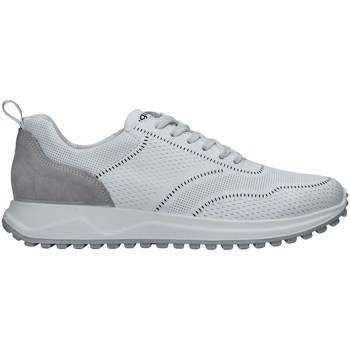 Cipők Férfi Rövid szárú edzőcipők IgI&CO 3629000 Fehér