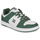 Cipők Férfi Rövid szárú edzőcipők DC Shoes MANTECA 4 Fehér / Keki
