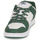 Cipők Férfi Rövid szárú edzőcipők DC Shoes MANTECA 4 Fehér / Keki