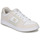 Cipők Női Rövid szárú edzőcipők DC Shoes MANTECA 4 Bézs / Fehér