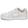 Cipők Női Rövid szárú edzőcipők DC Shoes MANTECA 4 Bézs / Fehér