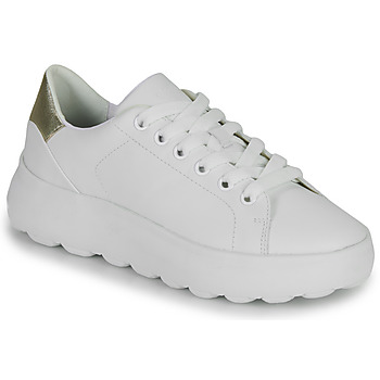 Cipők Női Rövid szárú edzőcipők Geox D SPHERICA EC4.1 SNEAKERS Fehér / Ezüst