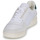Cipők Rövid szárú edzőcipők Polo Ralph Lauren POLO COURT PP Fehér / Zöld