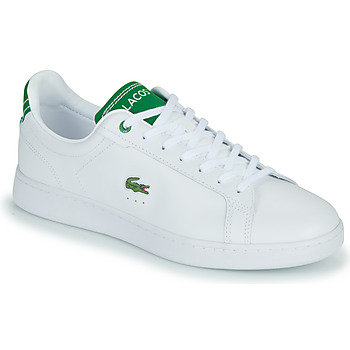 Cipők Férfi Rövid szárú edzőcipők Lacoste CARNABY Fehér / Zöld