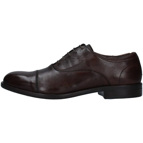 Cipők Férfi Oxford cipők Paul Kelly 1236 Barna