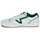 Cipők Férfi Rövid szárú edzőcipők Vans Lowland CC JMP R COURT Fehér / Zöld