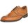 Cipők Férfi Oxford cipők & Bokacipők Clarks Dixon Class Barna