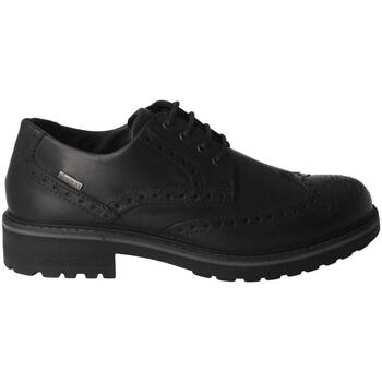 Cipők Férfi Oxford cipők & Bokacipők IgI&CO  Fekete 
