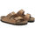 Cipők Férfi Lábujjközös papucsok Birkenstock arizona 1025006 pecan Barna