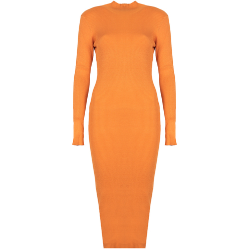 Ruhák Női Rövid ruhák Silvian Heach PGA22208VE Narancssárga