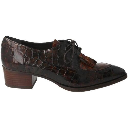 Cipők Női Oxford cipők & Bokacipők Pertini  Barna