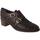 Cipők Női Oxford cipők & Bokacipők Pertini  Barna