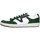 Cipők Férfi Rövid szárú edzőcipők Vans VN0A7TNLLV21 Zöld