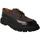 Cipők Női Oxford cipők & Bokacipők Calce  Fekete 