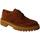 Cipők Női Oxford cipők & Bokacipők Calce  Barna