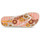 Cipők Női Lábujjközös papucsok Ipanema ANAT. TEMAS  XIV FEM Sokszínű