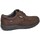 Cipők Férfi Oxford cipők CallagHan 25799-28 Barna