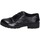 Cipők Női Oxford cipők & Bokacipők Luciano Barachini EY165 Fekete 