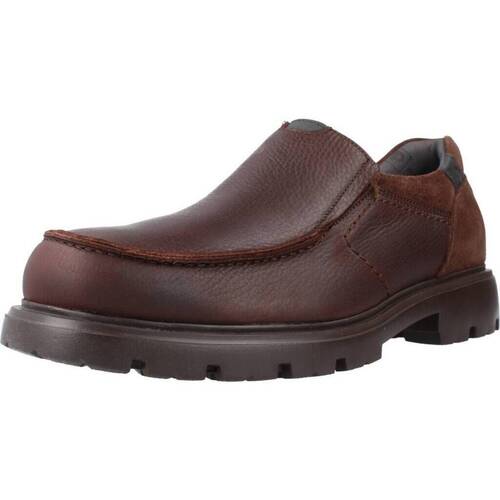 Cipők Férfi Oxford cipők & Bokacipők Pitillos 4930P Barna