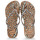 Cipők Női Lábujjközös papucsok Havaianas SLIM ANIMALS Barna