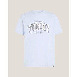 Ruhák Férfi Rövid ujjú pólók Tommy Hilfiger DM0DM18287 Kék