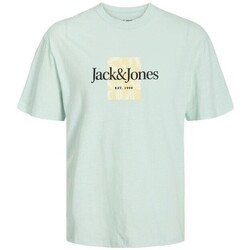 Ruhák Férfi Rövid ujjú pólók Jack & Jones 12250436 JORLAFAYETTE Zöld