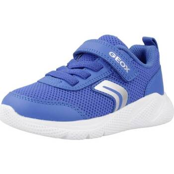 Cipők Fiú Rövid szárú edzőcipők Geox B SPRINTYE B. C Kék