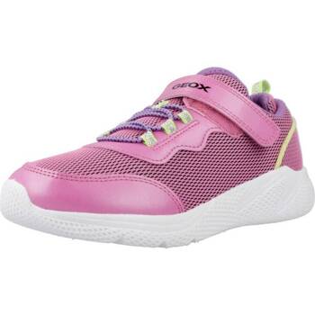 Cipők Lány Rövid szárú edzőcipők Geox J SPRINTYE GIRL Rózsaszín