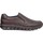 Cipők Férfi Oxford cipők & Bokacipők CallagHan Martinelli Alcalá C182-0017AYM Cuero Barna