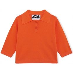 Ruhák Női Pulóverek Wild Pony Knit 10604 - Orange Narancssárga