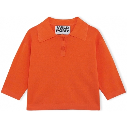 Ruhák Női Pulóverek Wild Pony Knit 10604 - Orange Narancssárga