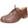 Cipők Női Oxford cipők & Bokacipők Astorflex EY789 Barna