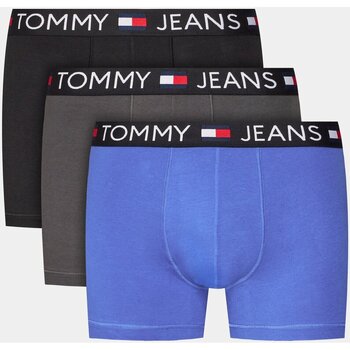 Tommy Jeans UM0UM03159 Sokszínű