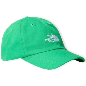 Textil kiegészítők Férfi Baseball sapkák The North Face Norm Cap - Optic Emerald Zöld