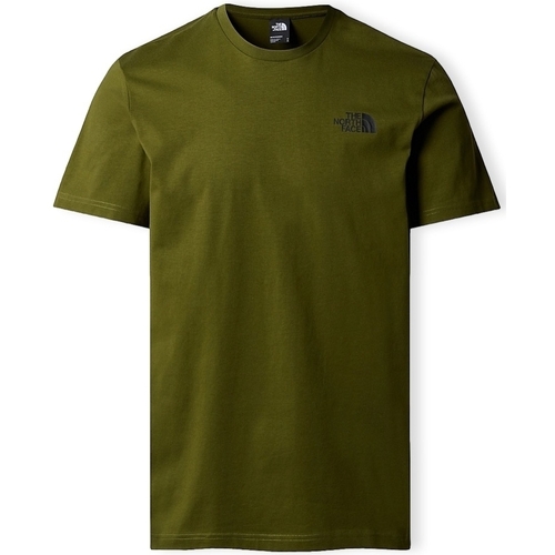 Ruhák Férfi Pólók / Galléros Pólók The North Face Redbox Celebration T-Shirt - Forest Olive Zöld