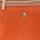 Táskák Női Válltáskák U.S Polo Assn. BIUHU4920WIP-ORANGE Narancssárga