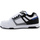 Cipők Férfi Rövid szárú edzőcipők DC Shoes Stag 320188-HYB Sokszínű