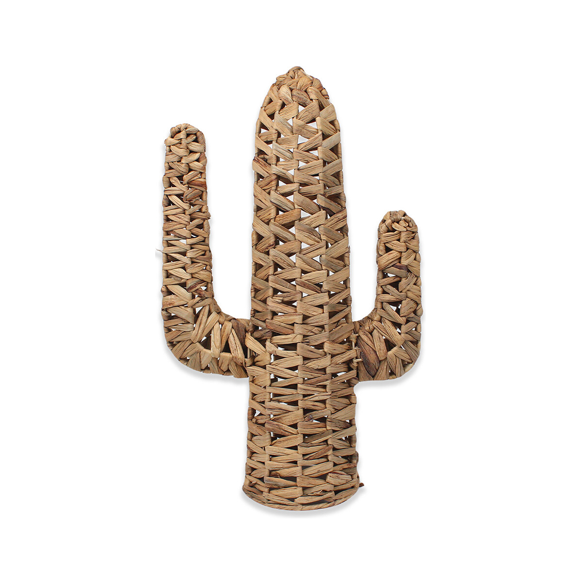 Otthon Szobrok / figurák Signes Grimalt Kaktusz Dekoráció Barna