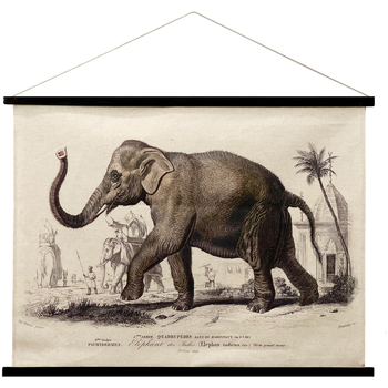 Otthon Képek / vásznak Signes Grimalt Elefánt Gurítható Vászon Keki