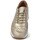 Cipők Női Rövid szárú edzőcipők Kangaroos SNEAKERS  581 Arany