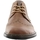 Cipők Férfi Oxford cipők Rieker B114225 Barna