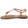 Cipők Női Lábujjközös papucsok Roberto Cavalli XPX243-PZ220 Barna