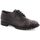 Cipők Női Oxford cipők MTNG 52680 Szürke